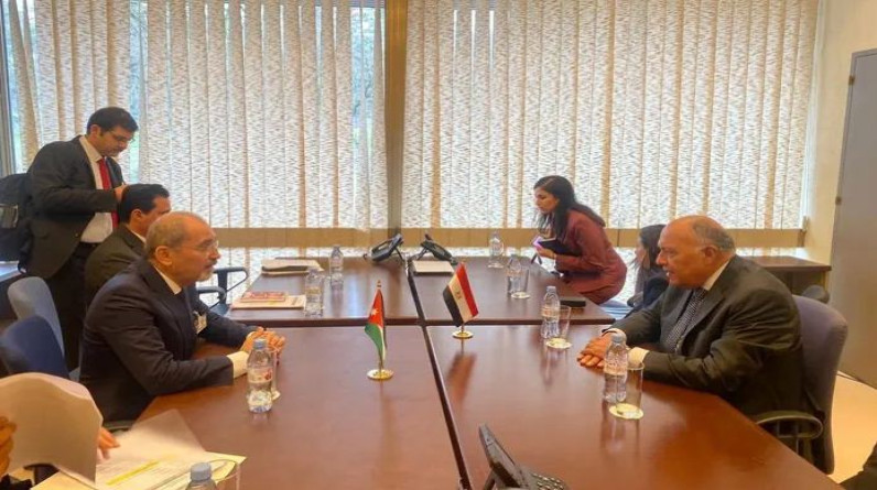 وزيرا خارجية مصر والأردن يحذران من قيام إسرائيل بعملية برية برفح
